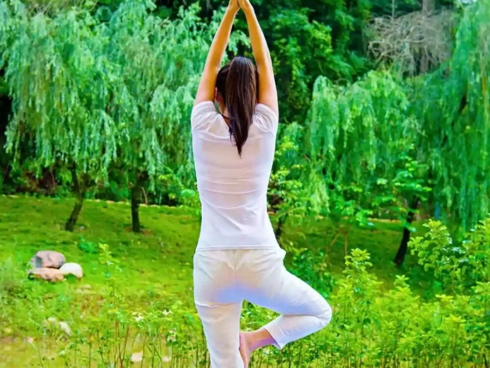 hairipussy2 오프라인 XXX 채팅