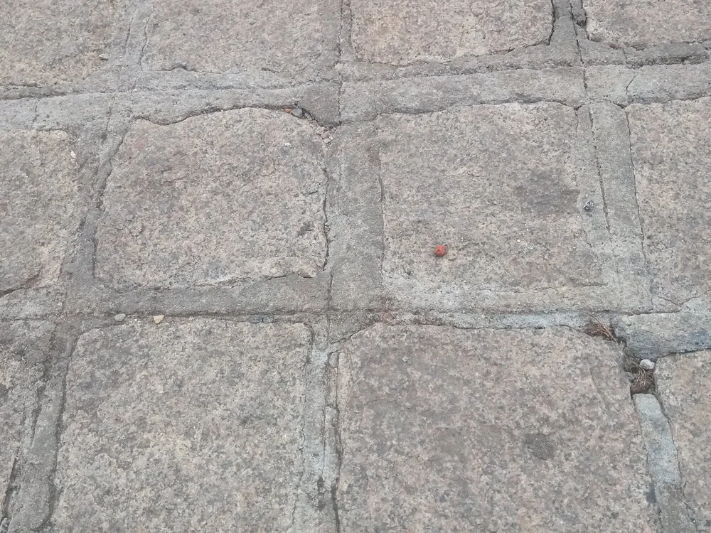 cover photo of rogergostosinho
