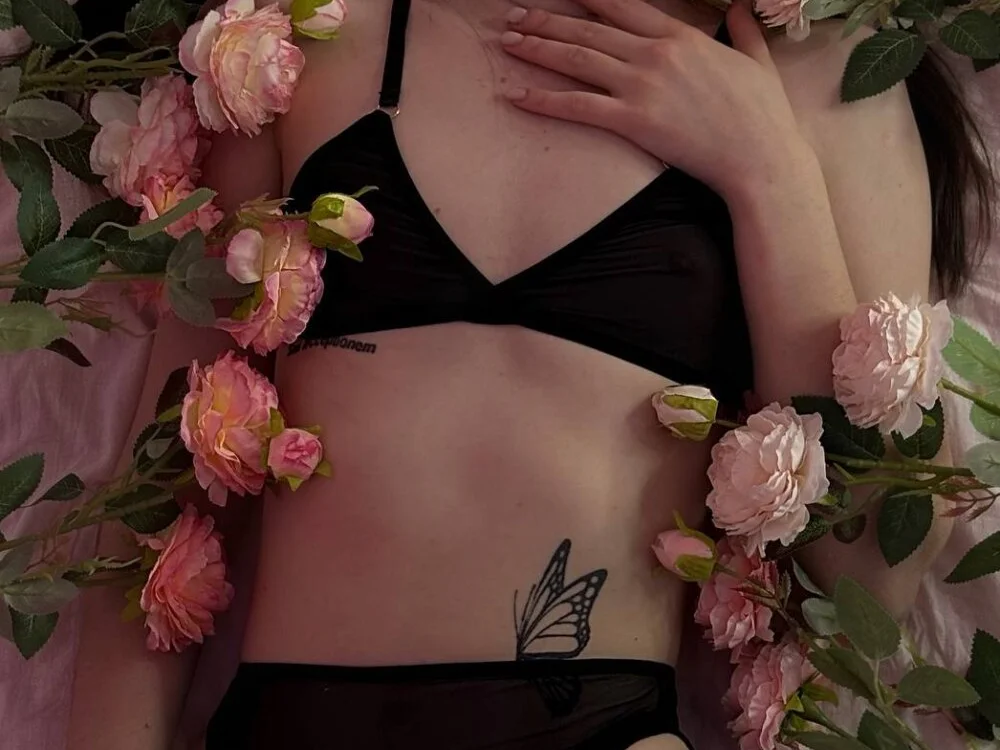 Alic_Fox 离线XXX聊天