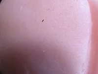 hoshichan's webcam live show