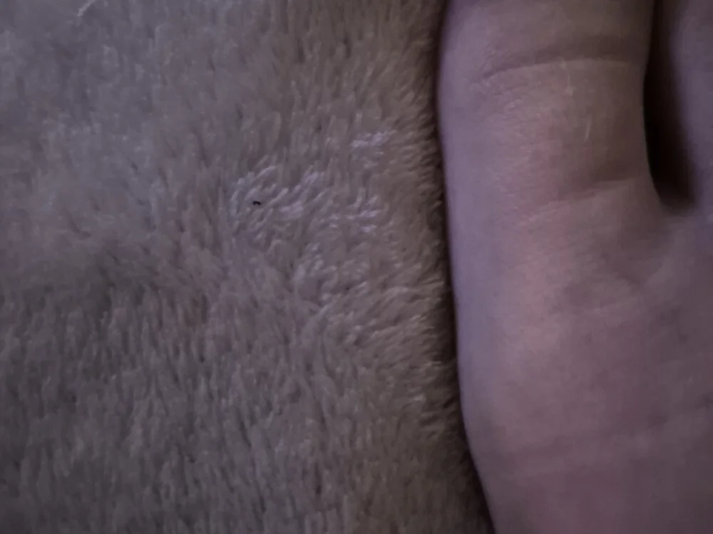 Офлайн-чат XXX lollyd99