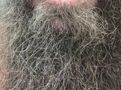 SteelCityJedi profile