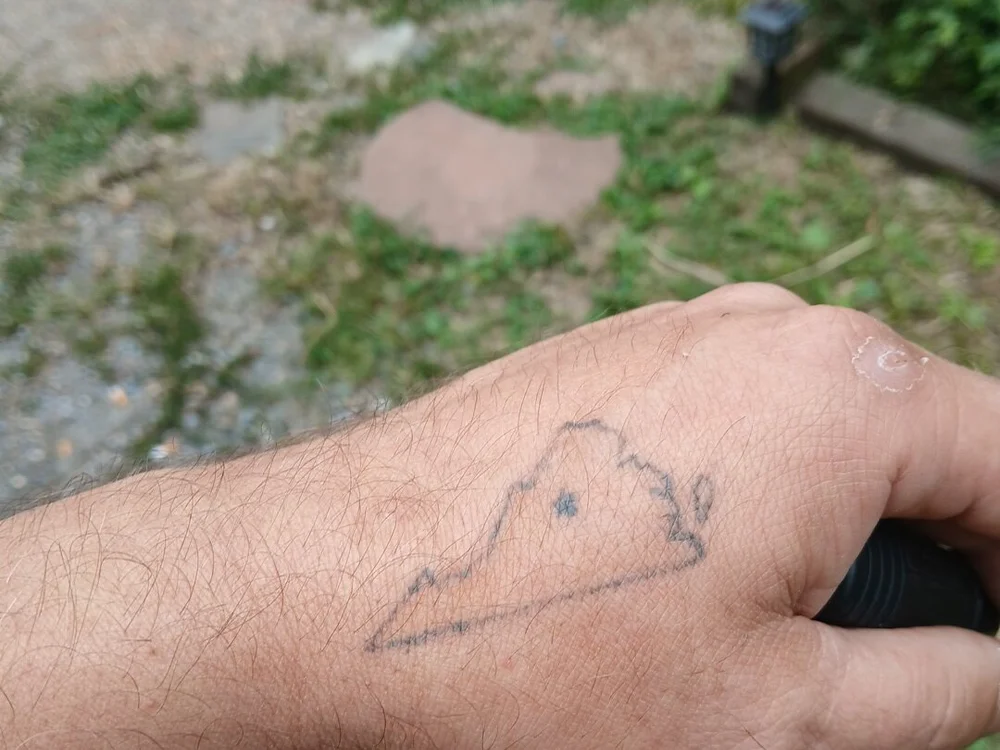 waynefitz Offline XXX-chat