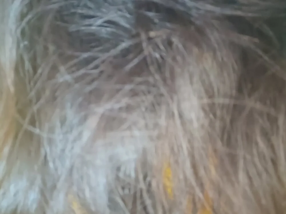 دردشة Alishababay الجنسية دون اتصال