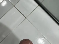 misterpaudemel 📫 free nude webcam