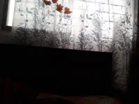 sayan247 webcam