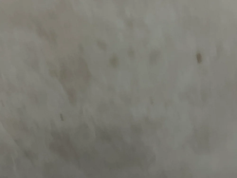 cover photo of yoursfuckerbaby-