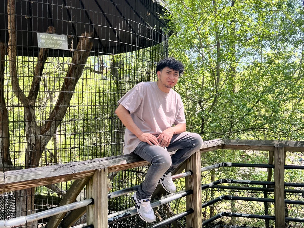 Teddylooez offline chatrum