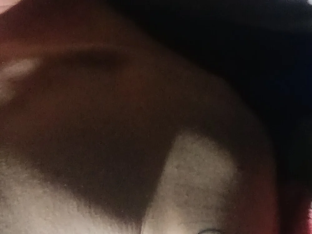 Offline XXX chat modela KENd52ca