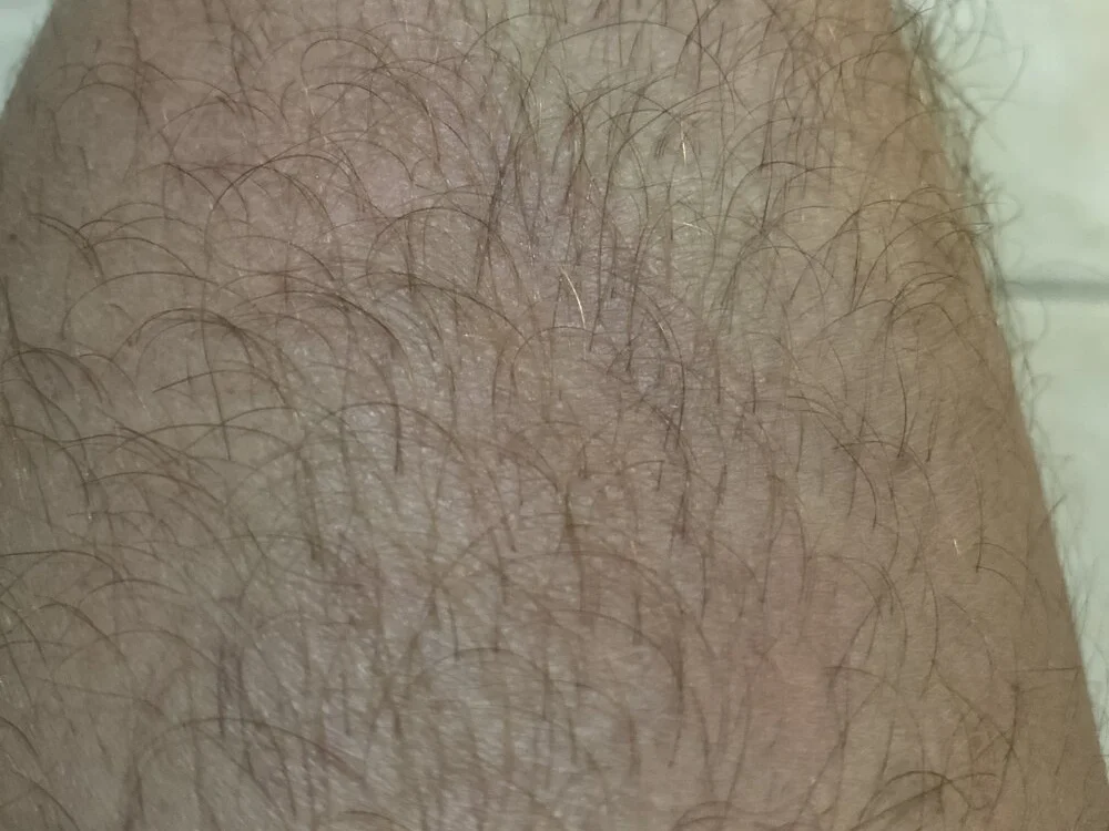 Chat +18 off-line de SpammedPignut