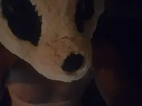BeardGasms_LadyBoners' Offline Chat Room
