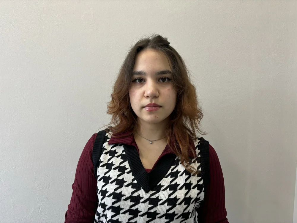 EleneAsp offline chatrum