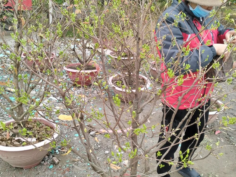 Hhoa_love: офлайн-секс-чат