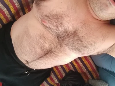 CCComandante profile