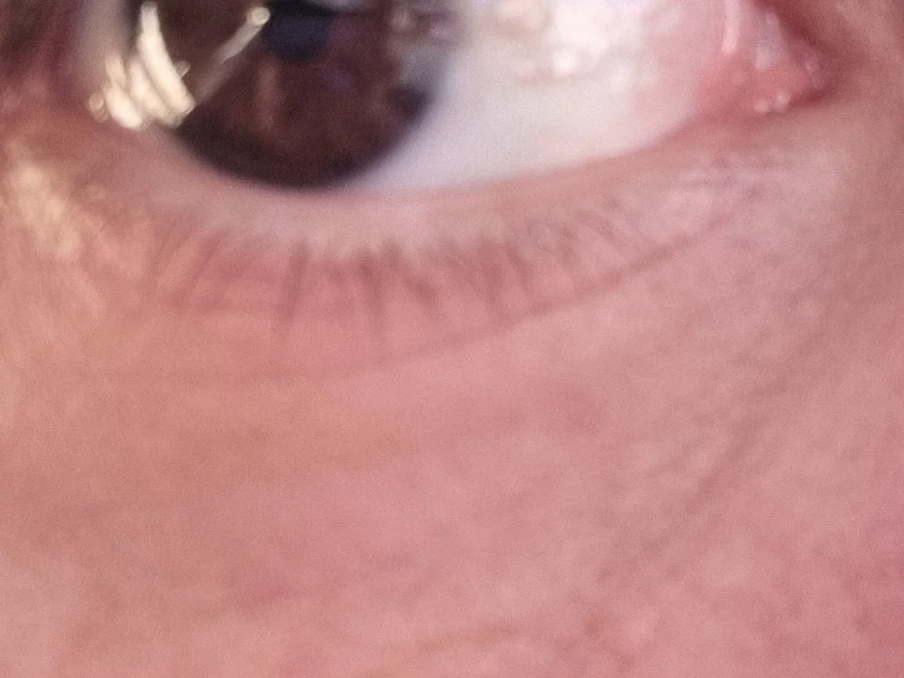 Chatroom XXX hors ligne de Justfunfree