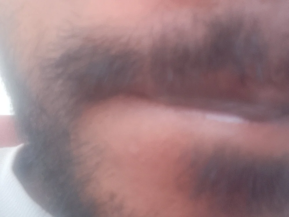 Offline chatovací místnost Rush_pavi
