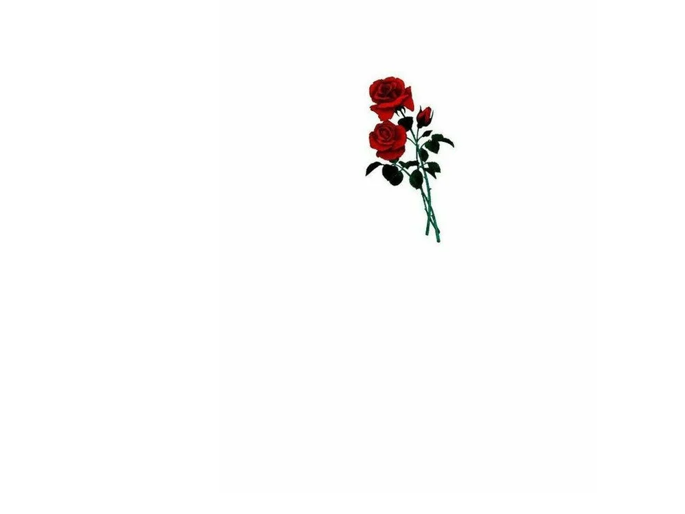 FlordeLotuxxx: офлайн-секс-чат