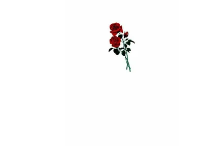 FlordeLotuxxx