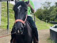 Chat +18 de Damian_latinxxx ao vivo