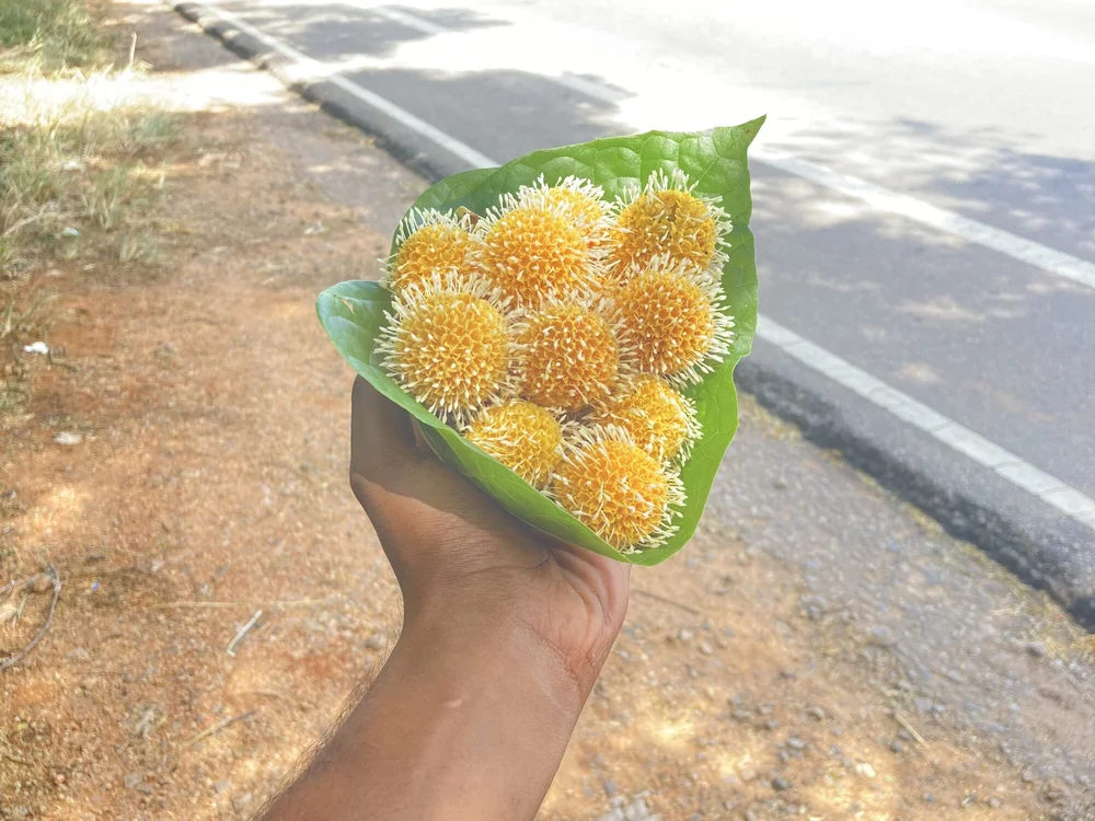 indur offline XXX-chat