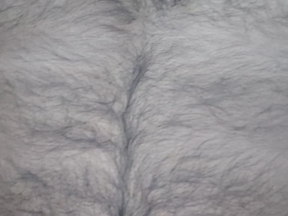 Srilankanbiggy Offline XXX-Chat