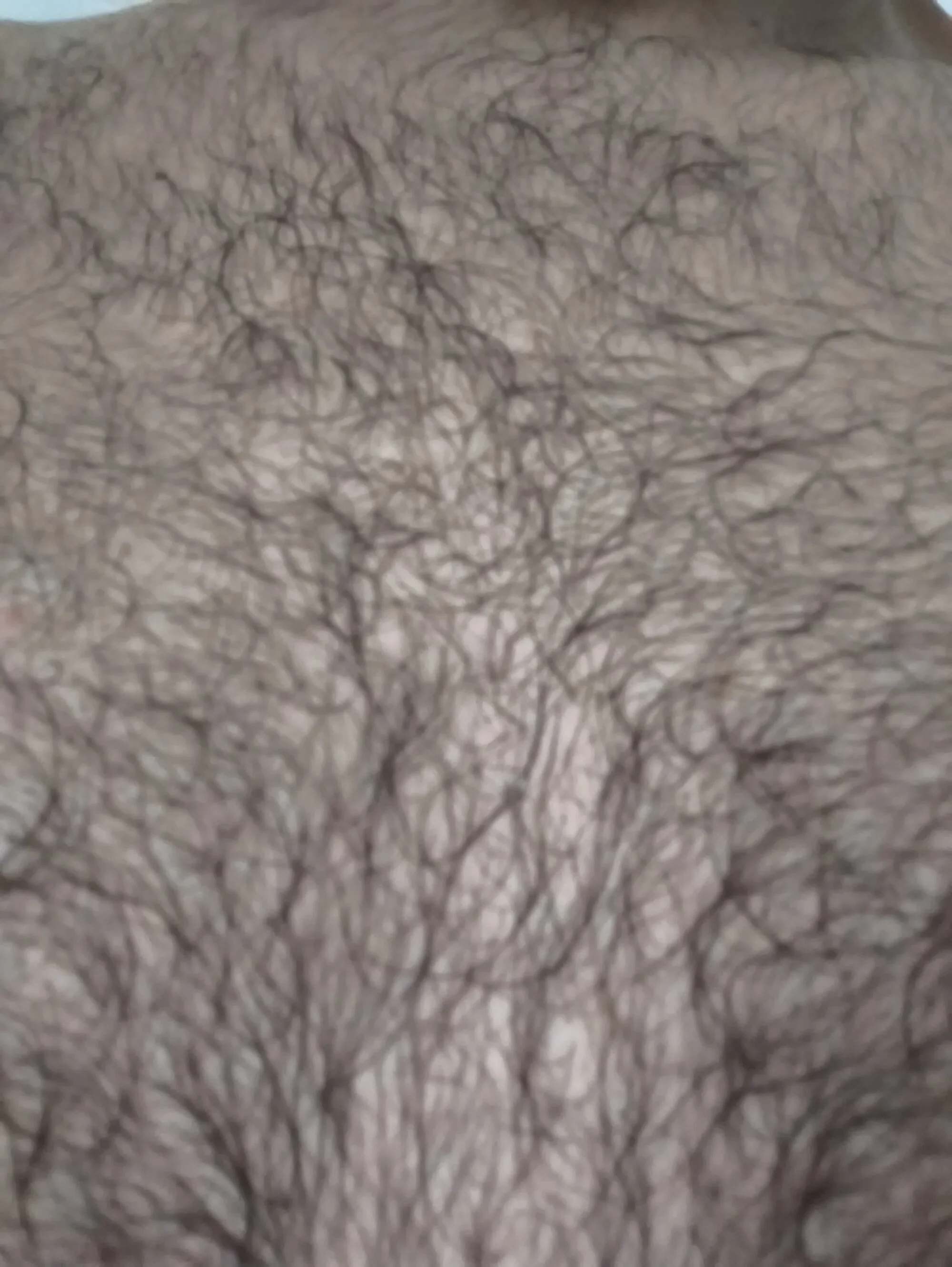 OlympianGuy live webcam