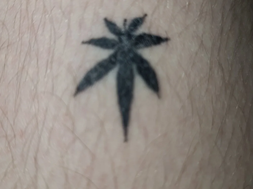 DanielBIGBOY21cm Adlı Modelin Çevrimdışı XXX Sohbeti