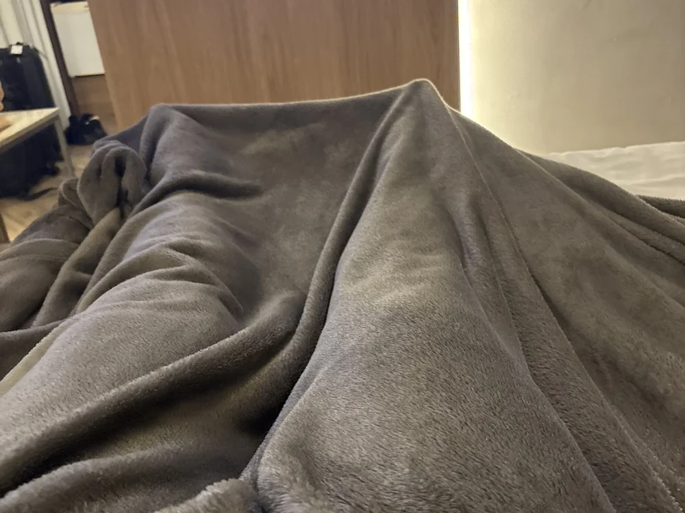 bfs128 offline XXX-chat