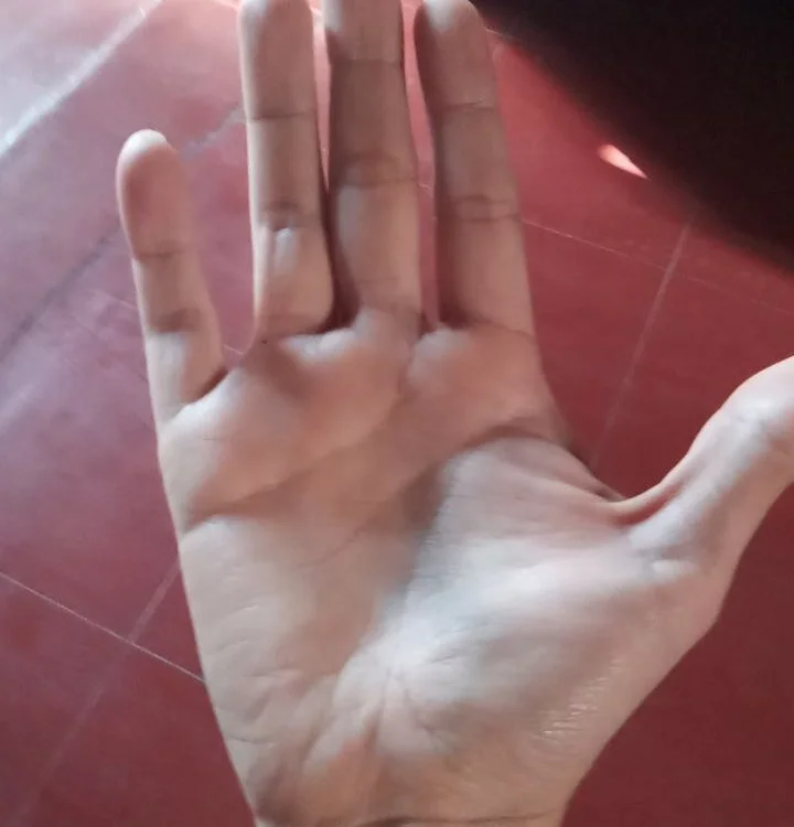 Maqui3 오프라인 XXX 채팅