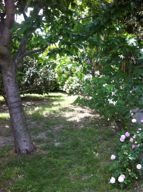 benoitxxx live webcam