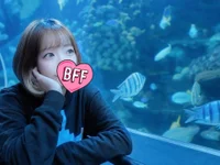 -YUA-jp