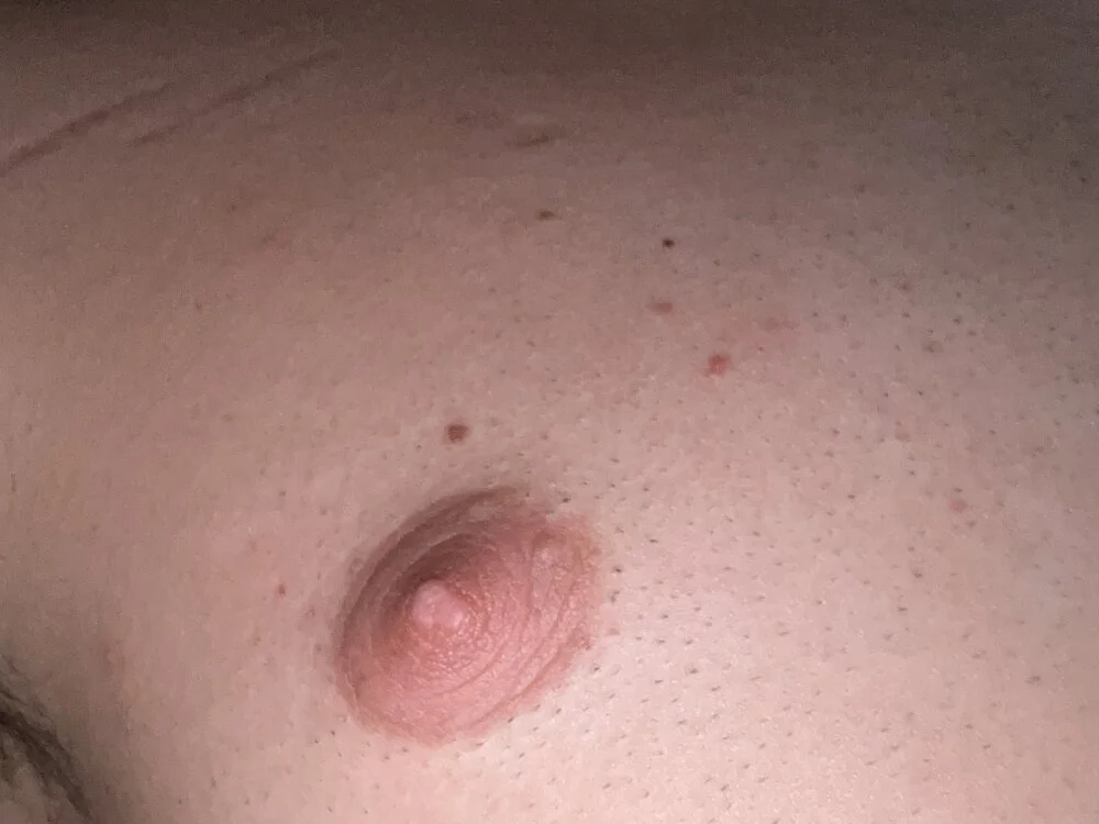 jazavac Chat XXX offline