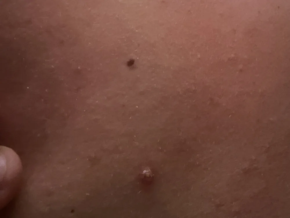 Denk-666 offline XXX-chatje