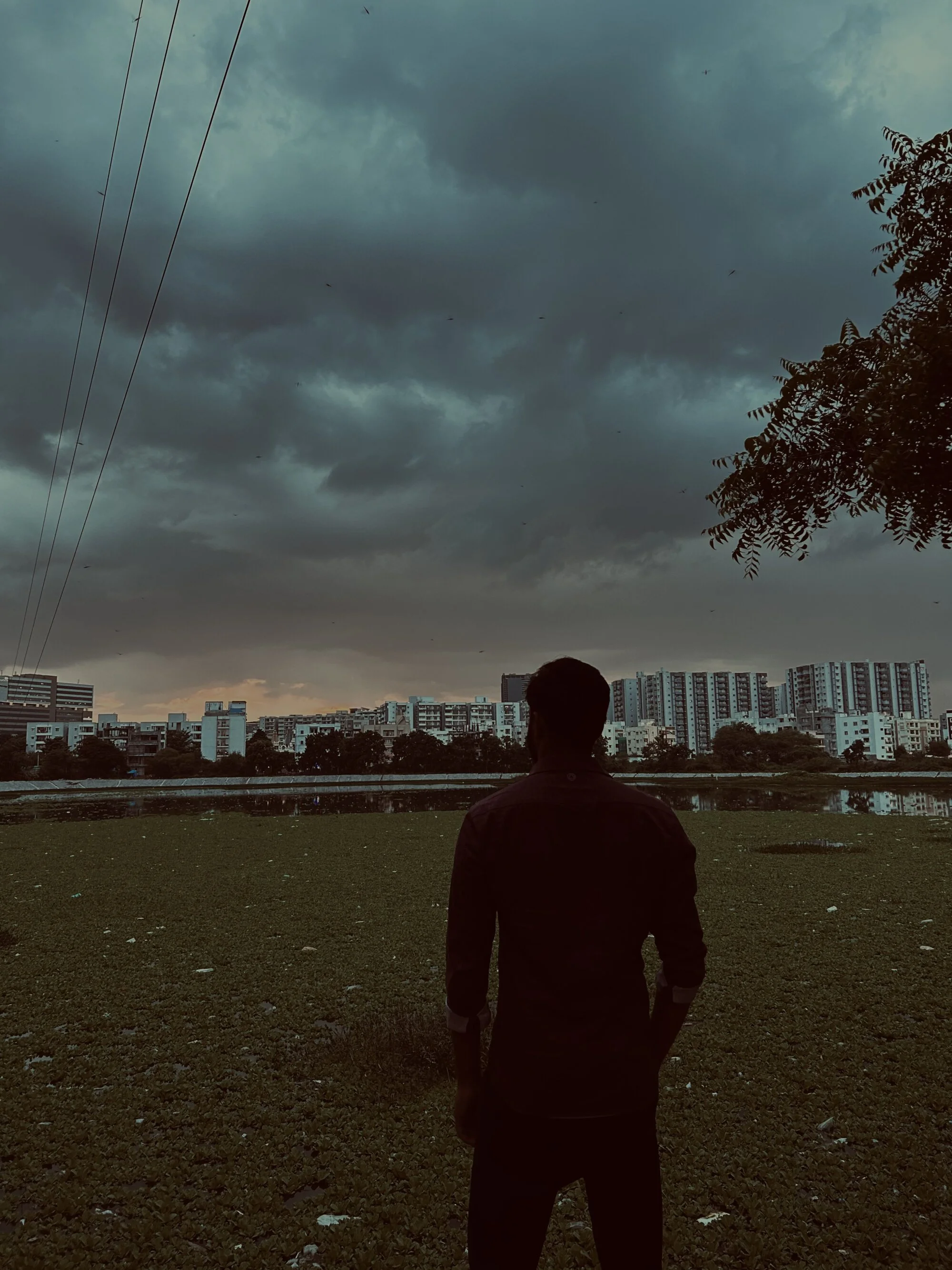 blackcock459 live webcam