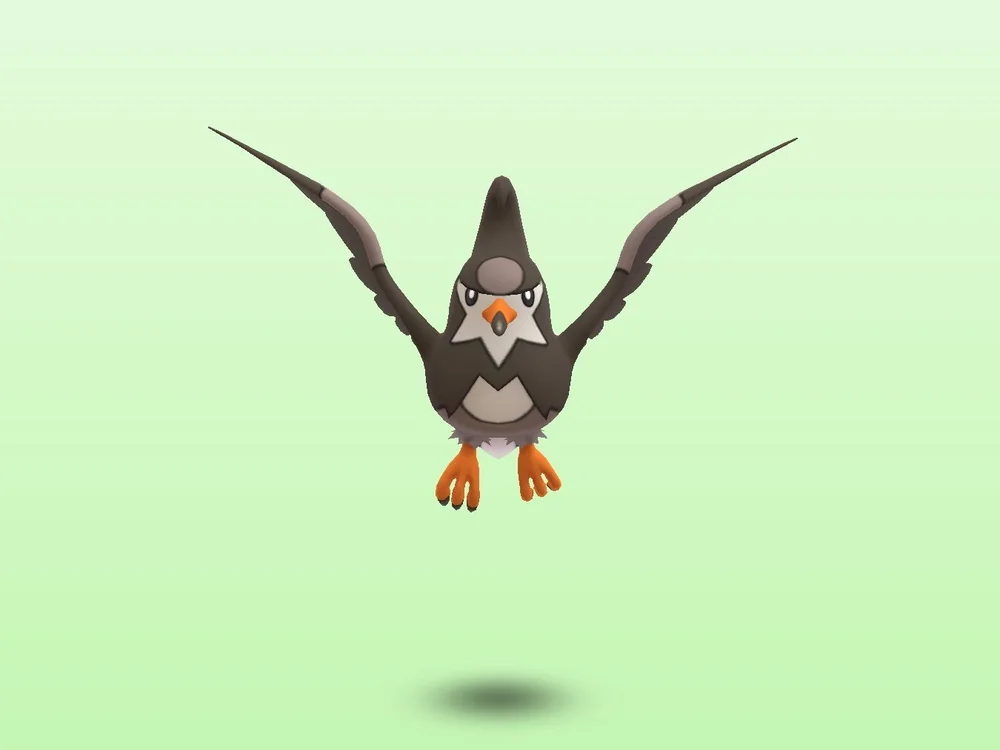 barbaaas123 cam model