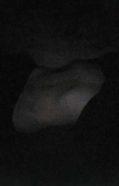 Zakapiorek07's Offline XXX Chat