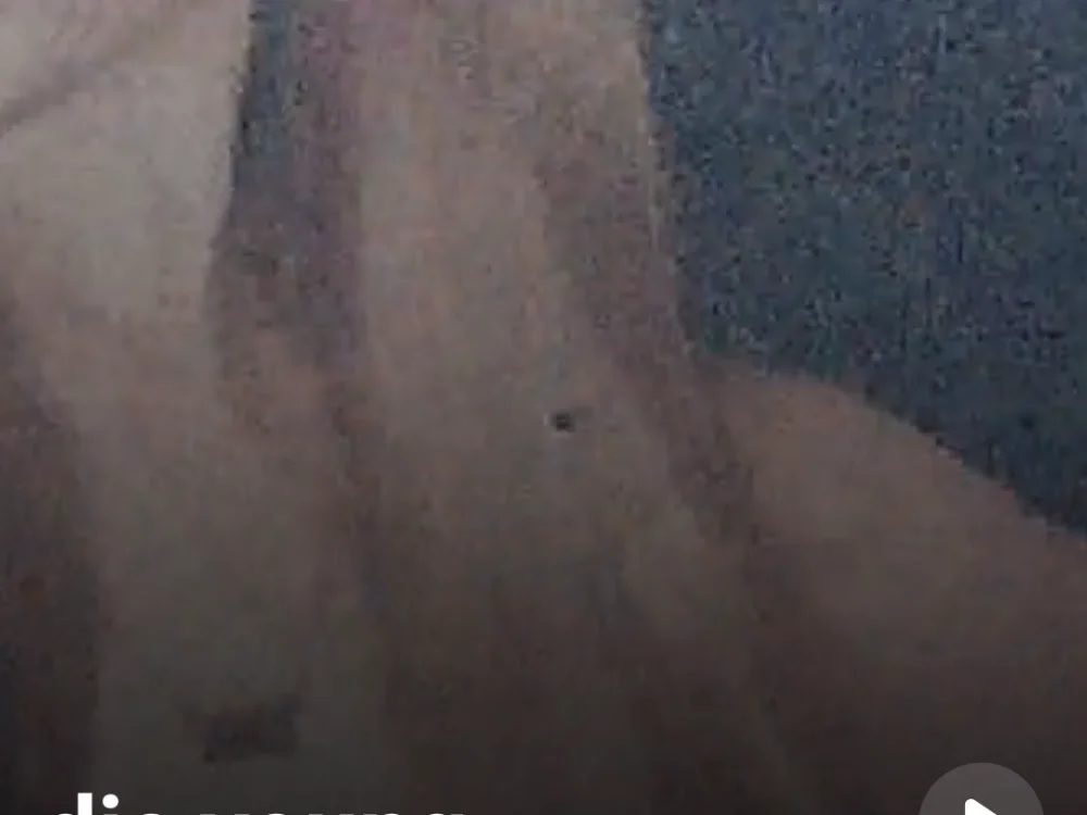 Chat +18 off-line de Mmcat00