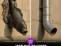 Mevees