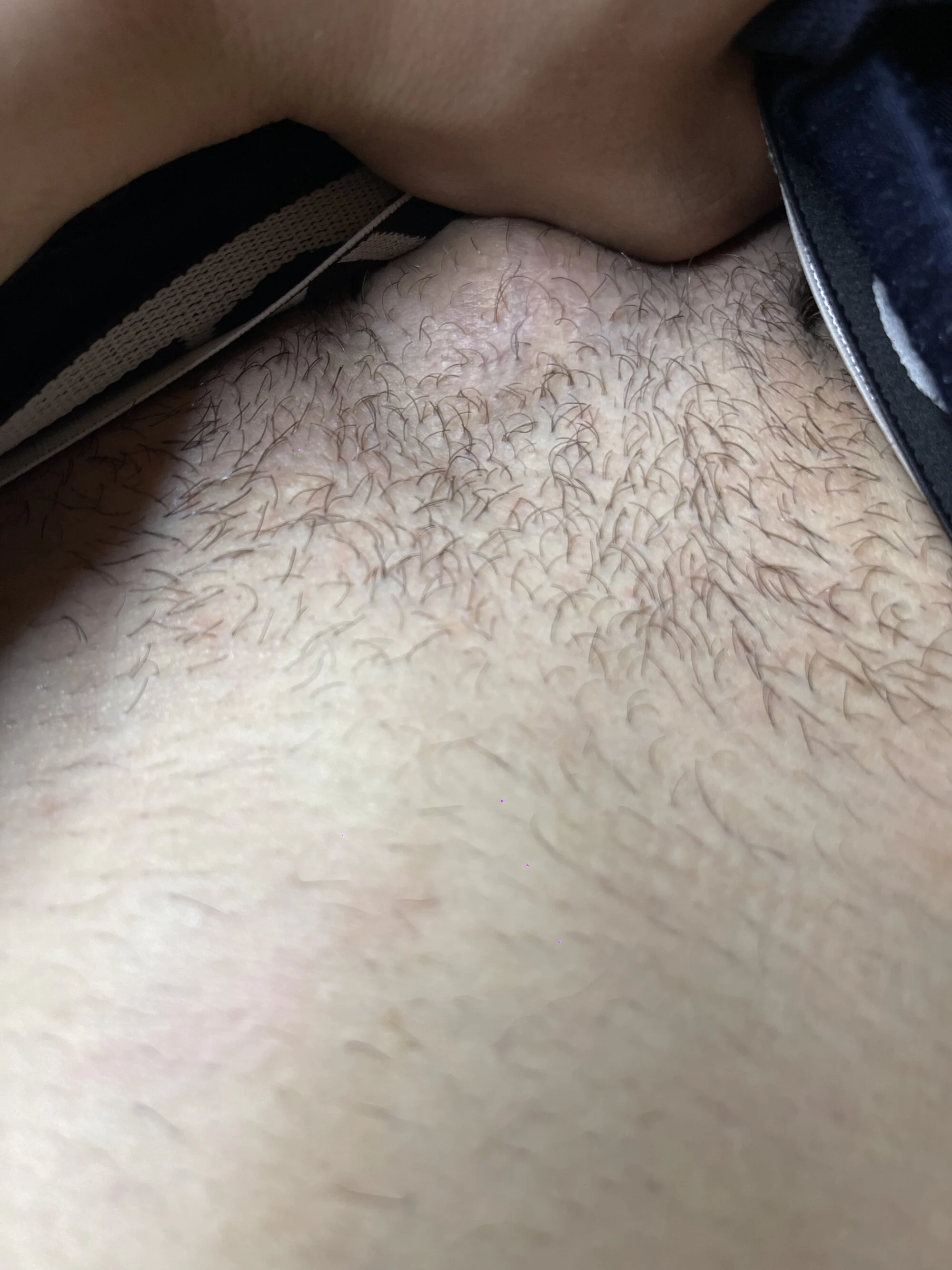 stripchats7