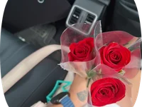 Yazmin_2911