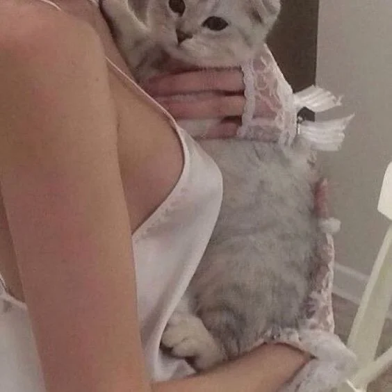 gingerkitty6's Offline XXX Chat