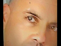 Alanscurios