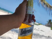 josabroson profile