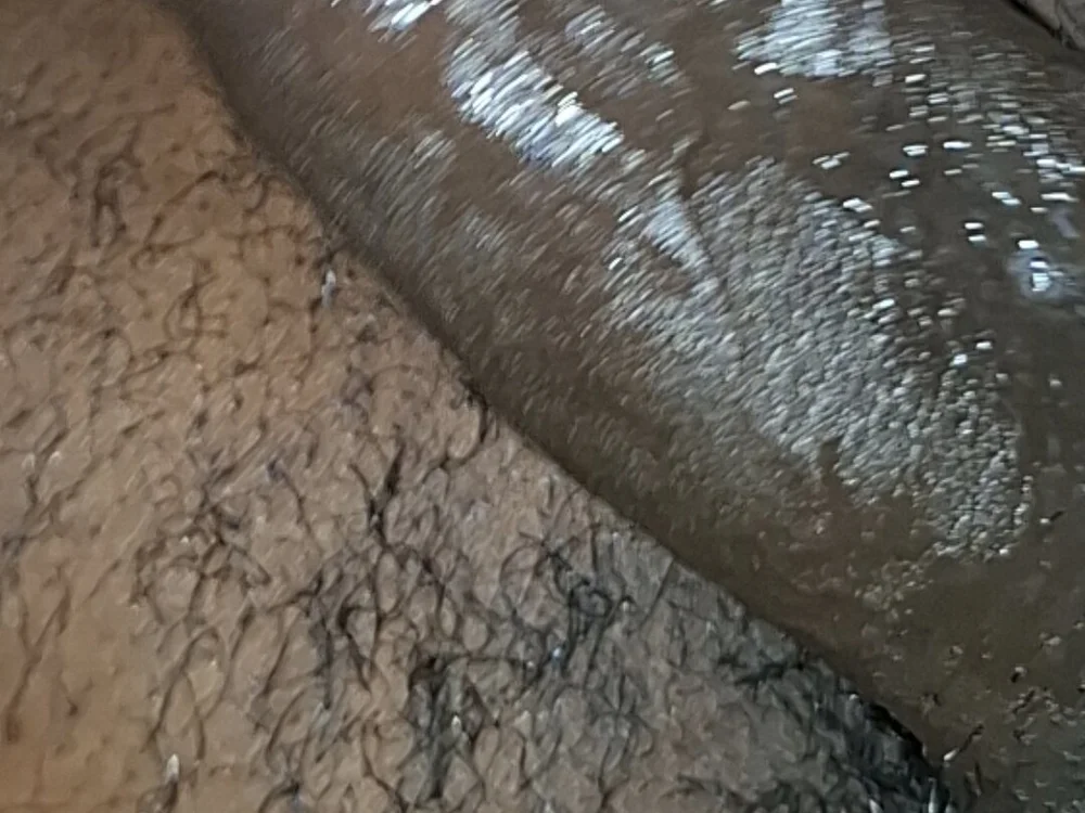 jiado Obrolan XXX Offline