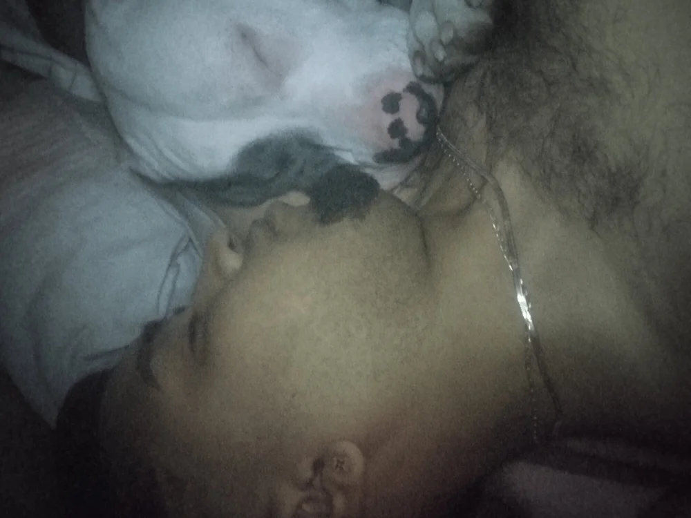 Offline XXX chat modela Amirilacabra66