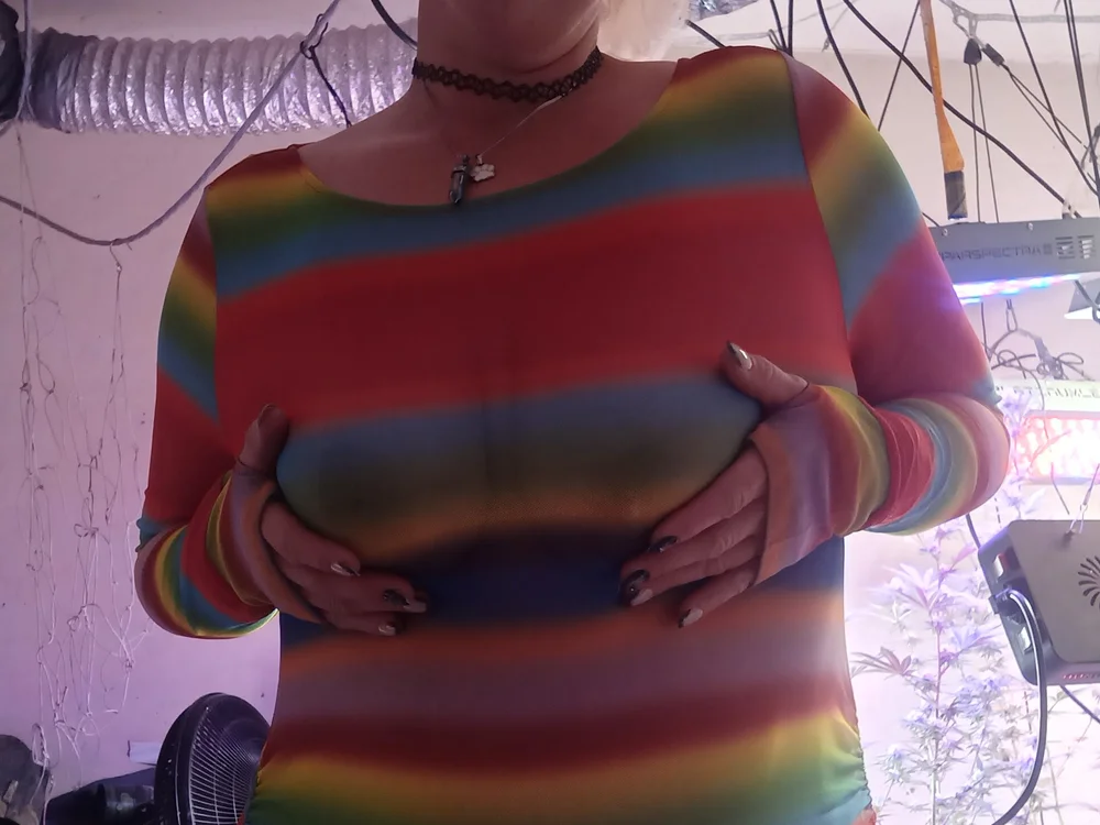 mskittycat69's Offline Chat Room