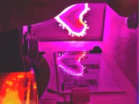 Mrkarizma webcam thumbnail