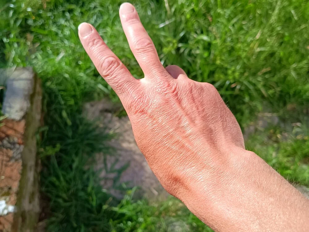 Paucabeludo_n Offline XXX chat