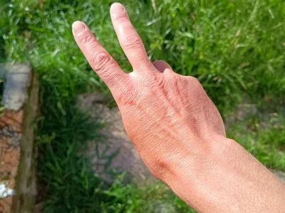 Paucabeludo_ profile