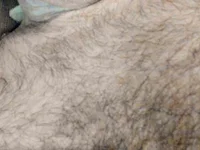 Chat XXX Live MidwestDadbod